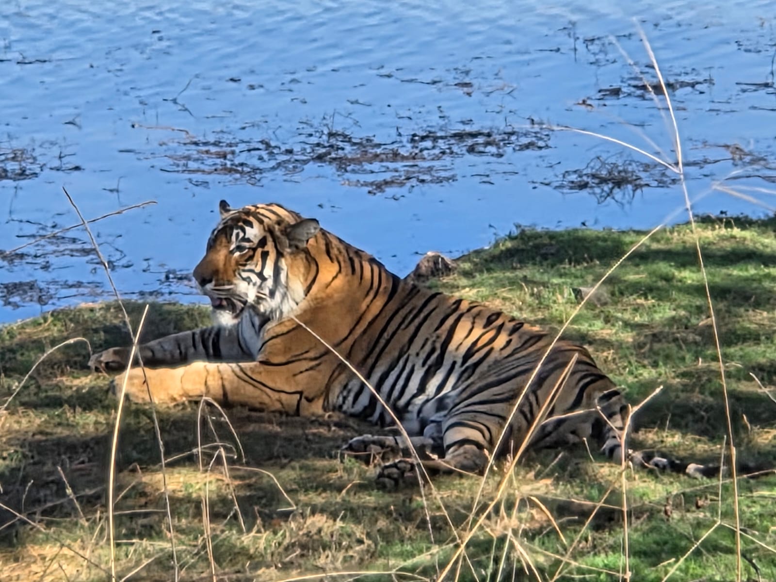 Ranthambore National park