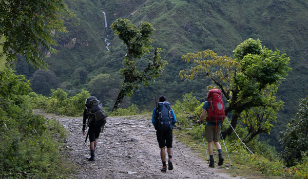 Adventure Glacier Treks and Expeditions