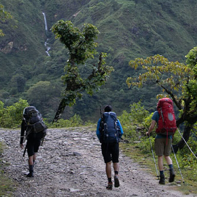 Adventure Glacier Treks and Expeditions
