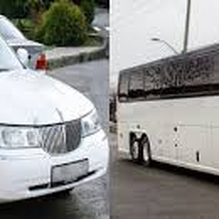 LIMO BOYS INC.