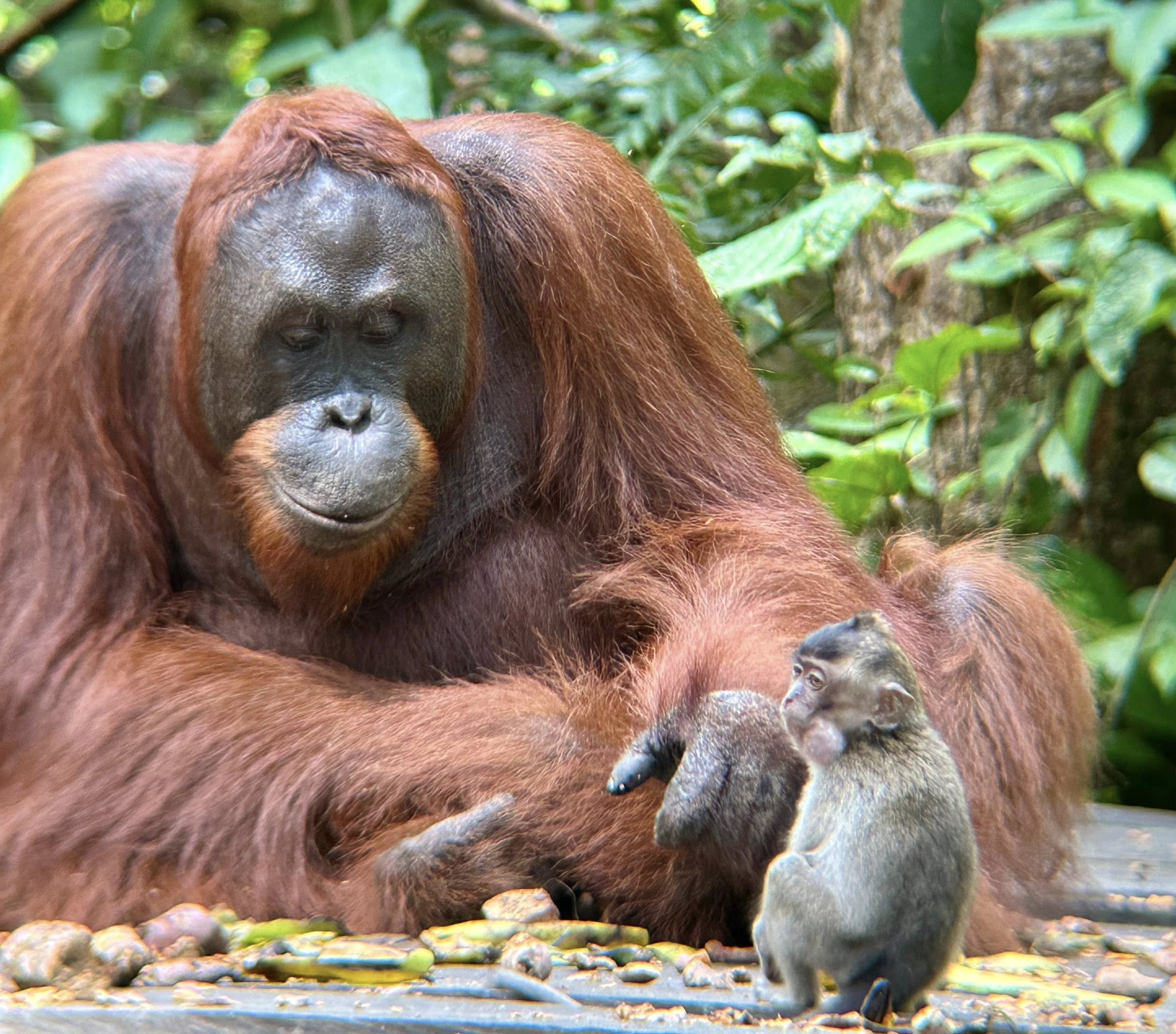 EXPLORE JAVA INDONESIA