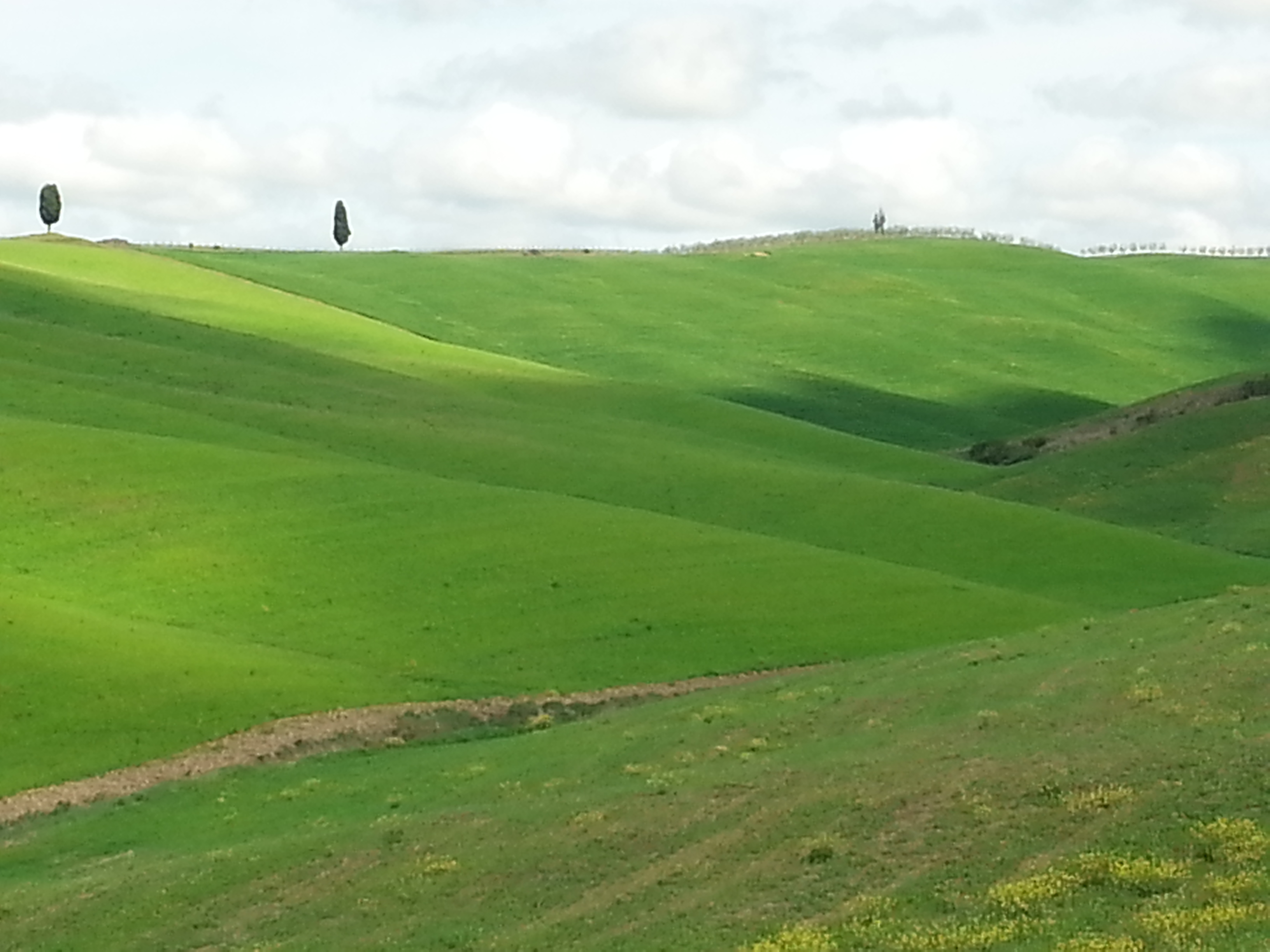 azienda agricola INVIDIA