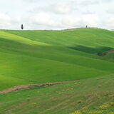 azienda agricola INVIDIA