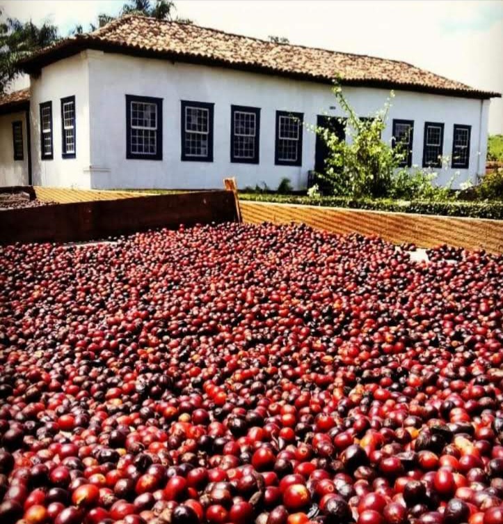 Fazenda da Taquara