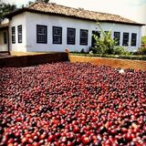 Fazenda da Taquara