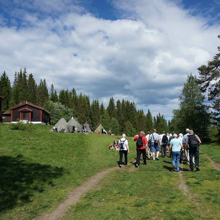 Trondheim by /boat /foot /bus