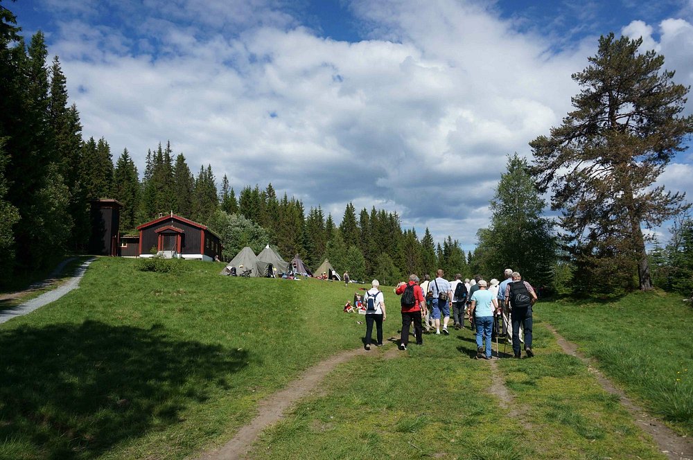 Trondheim by /boat /foot /bus