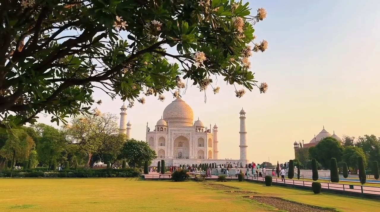 India Tour Organiser