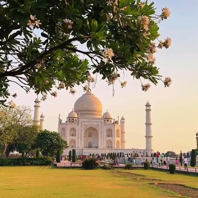India Tour Organiser
