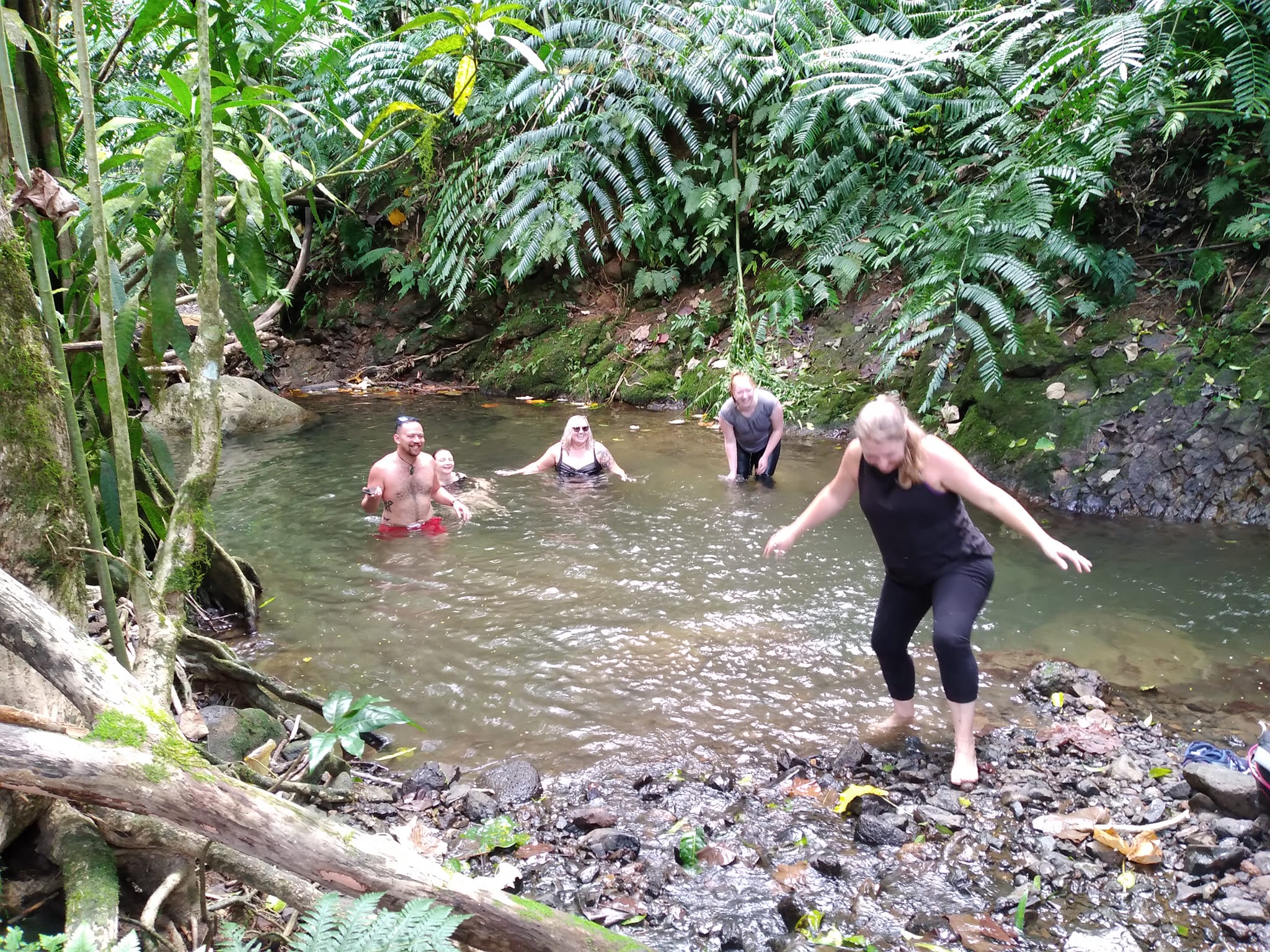 Storytellers Eco Tours