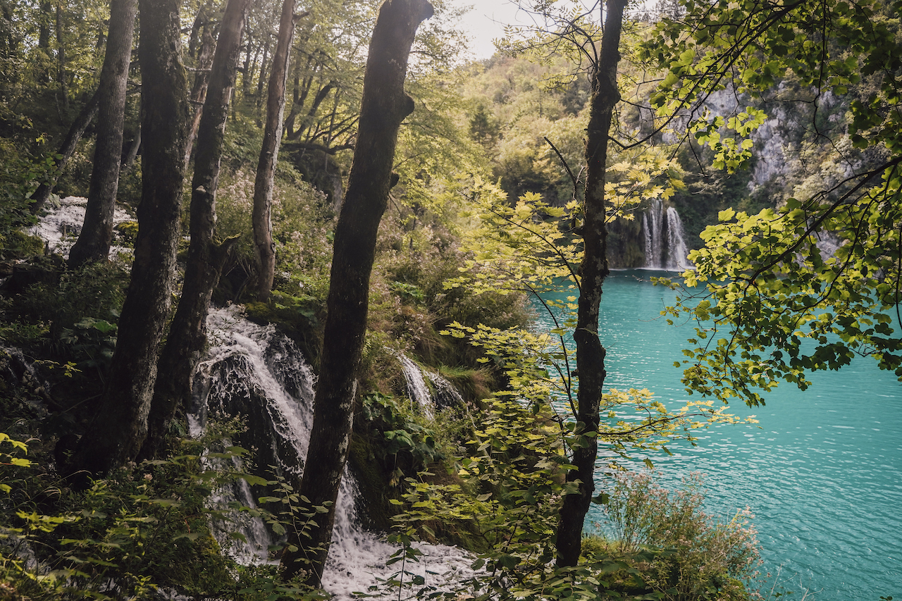 Booker Travel Agency