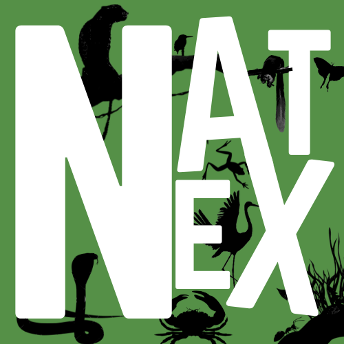 Naturalist Explorers LLP