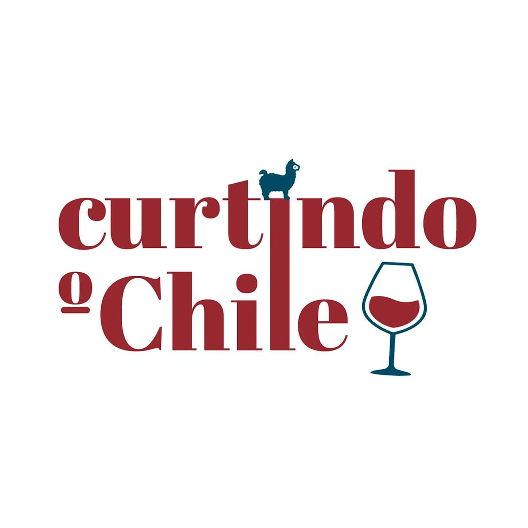 AGENCIA CURTINDO O CHILE
