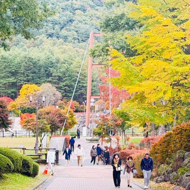 Reo