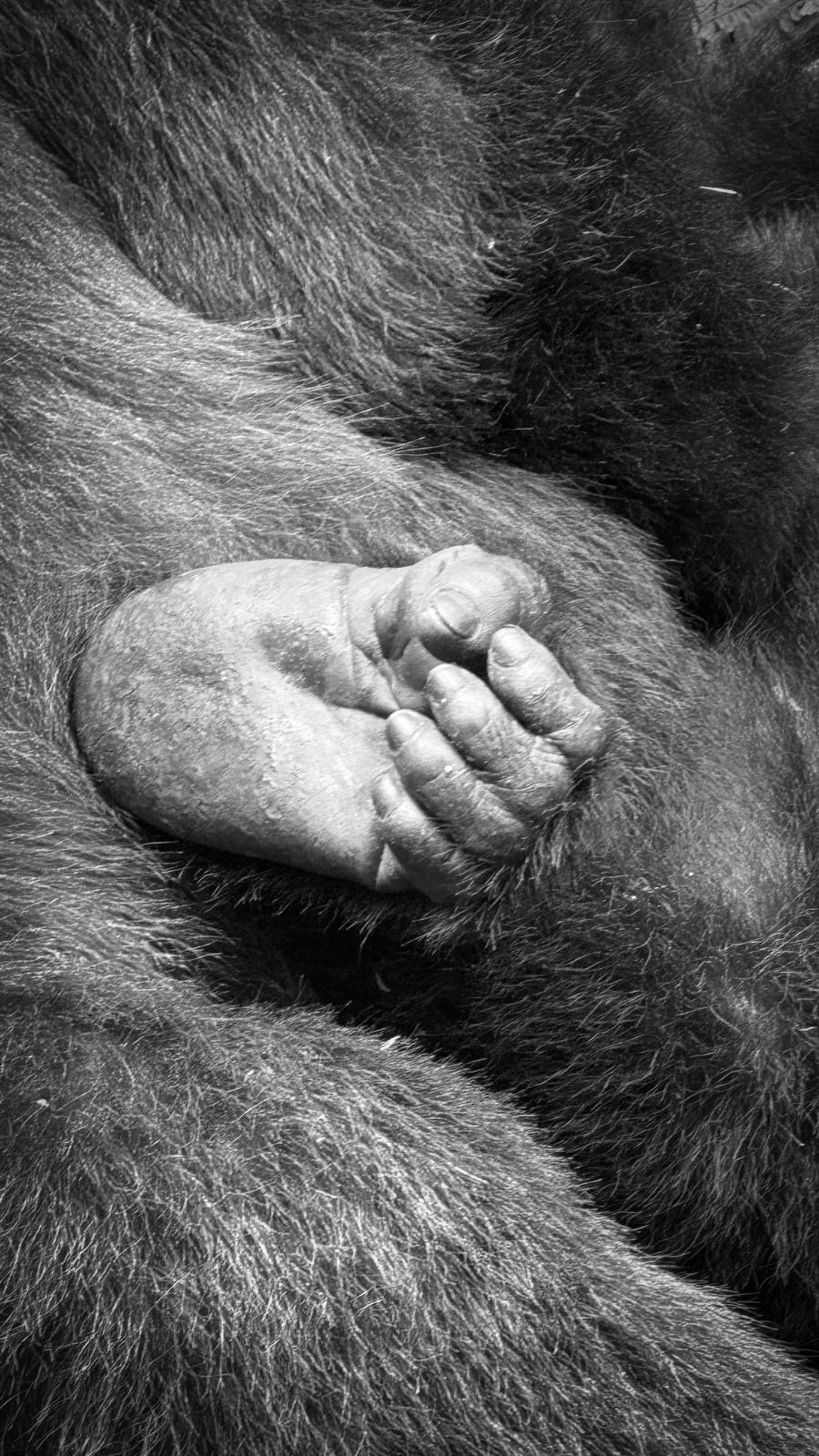 tsutsu tours and travel