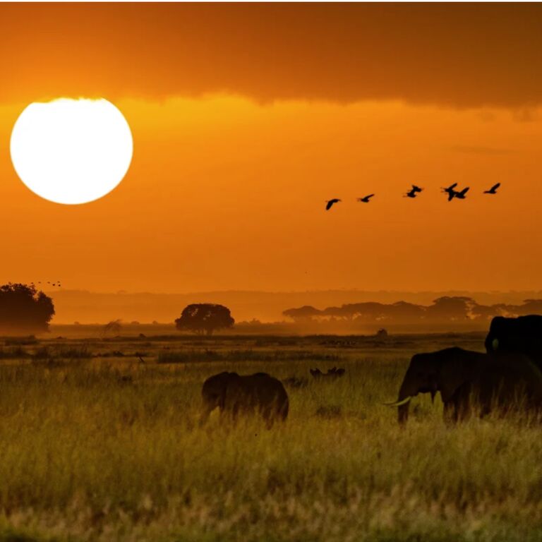 TANZANIA SAFARI DREAMS