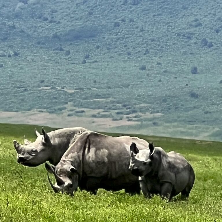 TANZANIA SAFARI DREAMS