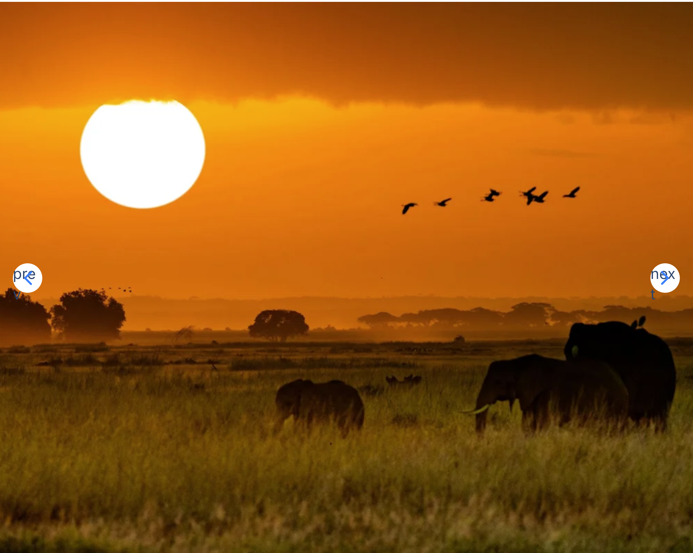 TANZANIA SAFARI DREAMS