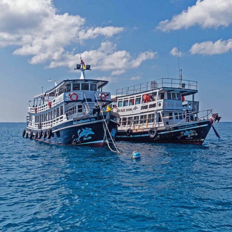 Big Blue Diving