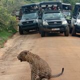Travel with shali