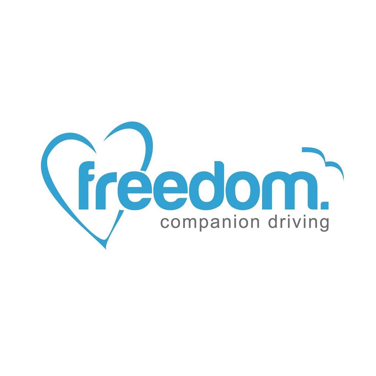 Freedom Companion Driving