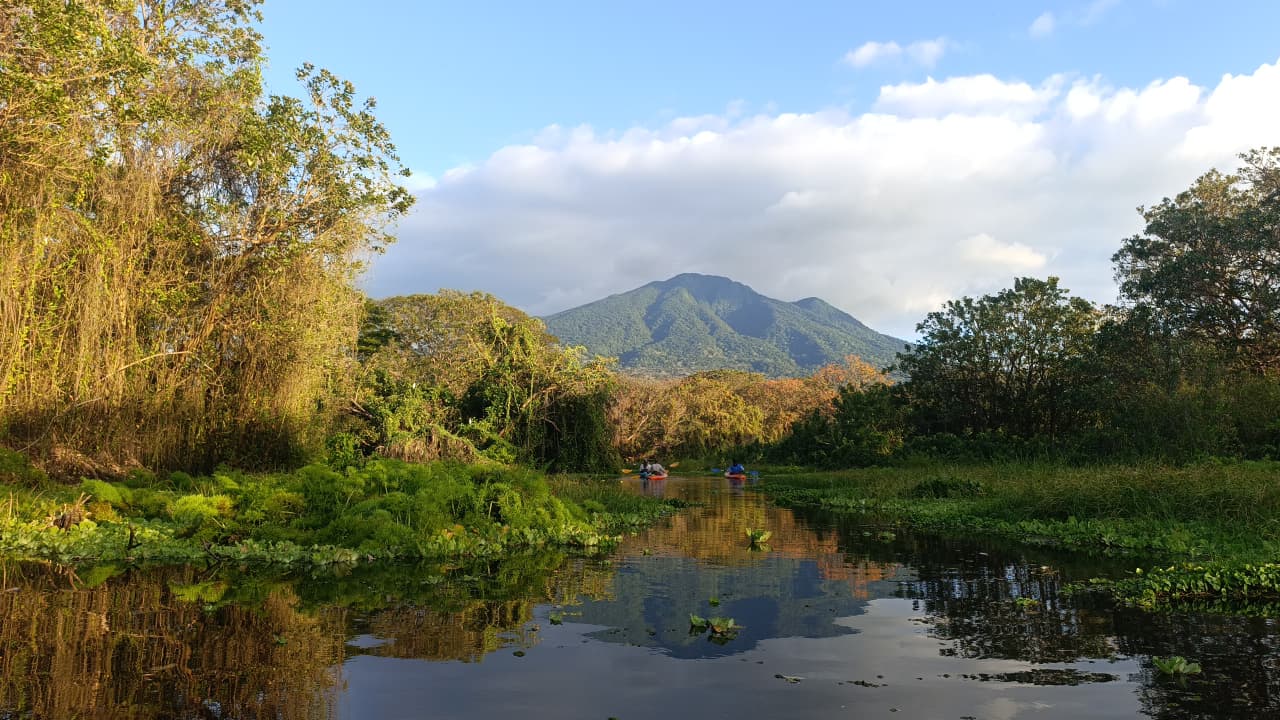 Kayak aquatic safary tour