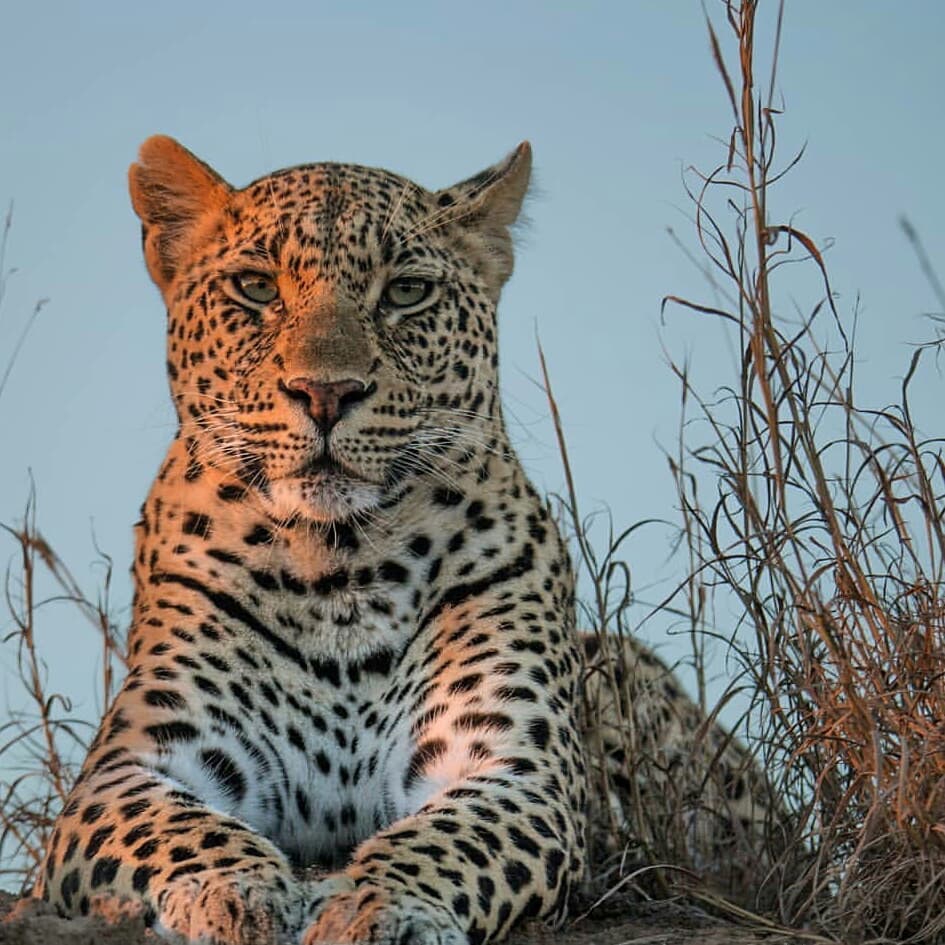 outstanding Tanzania Safari