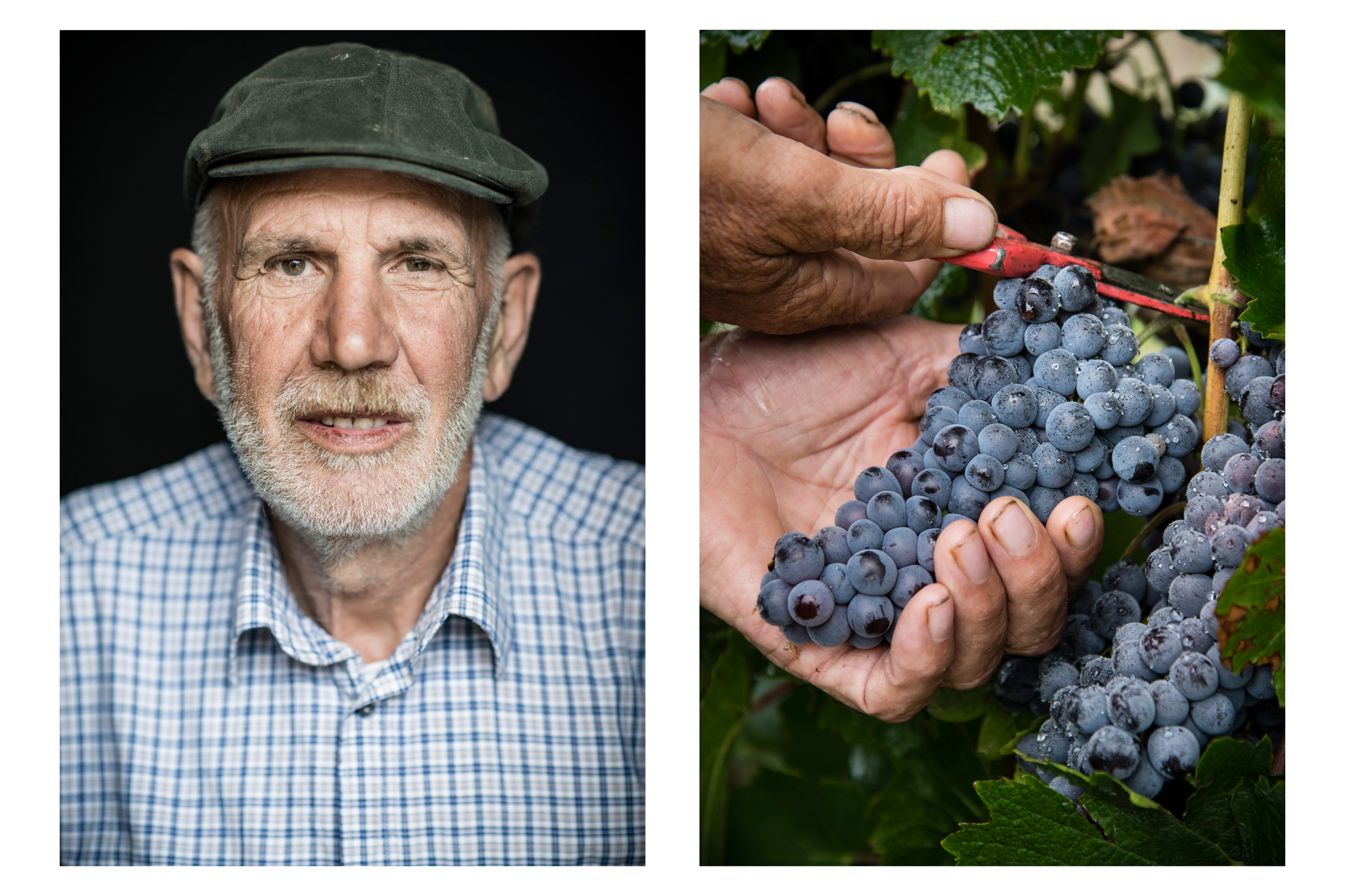 Agriturismo IL MILIN