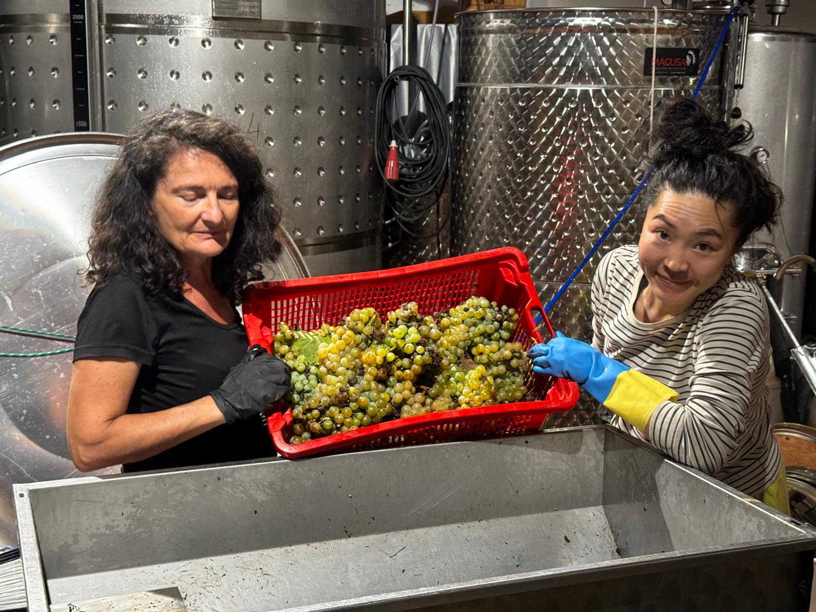 El Jardí dels Sentits