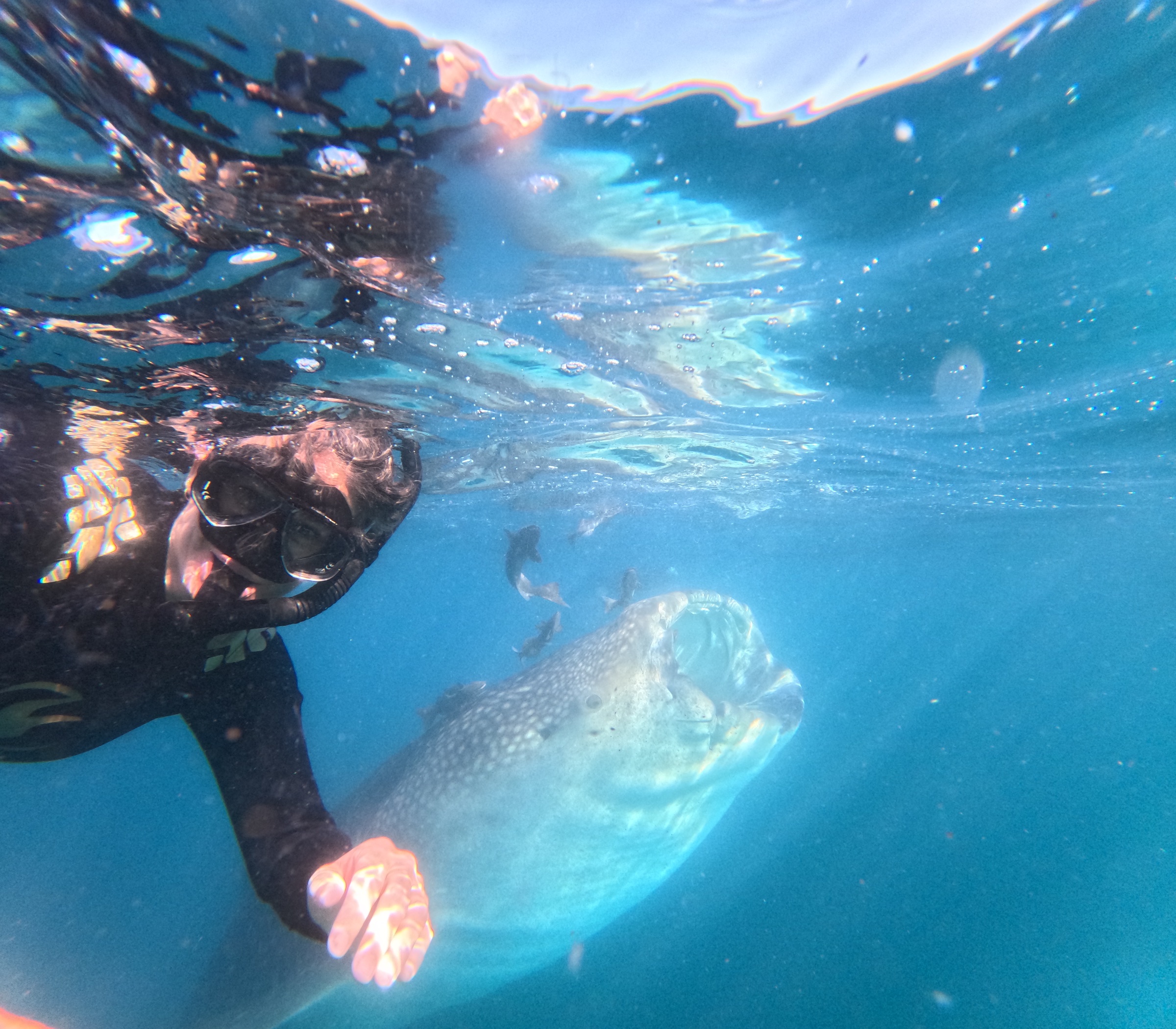 La Paz VIP tours