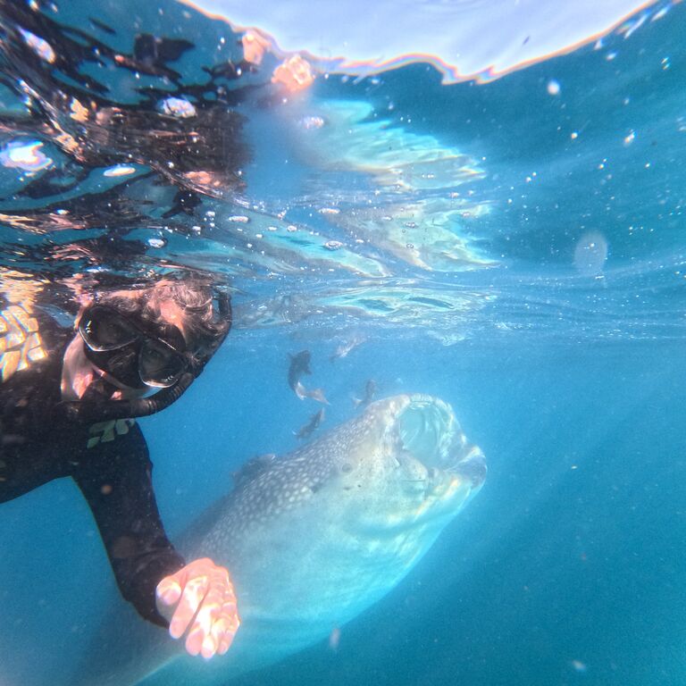 La Paz VIP tours