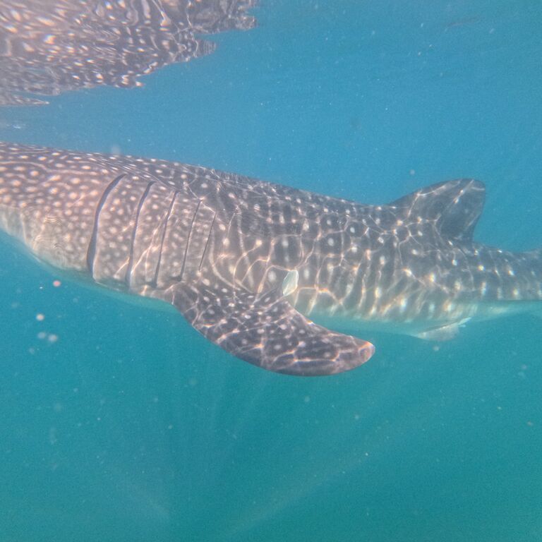 La Paz VIP tours