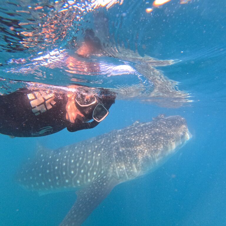 La Paz VIP tours