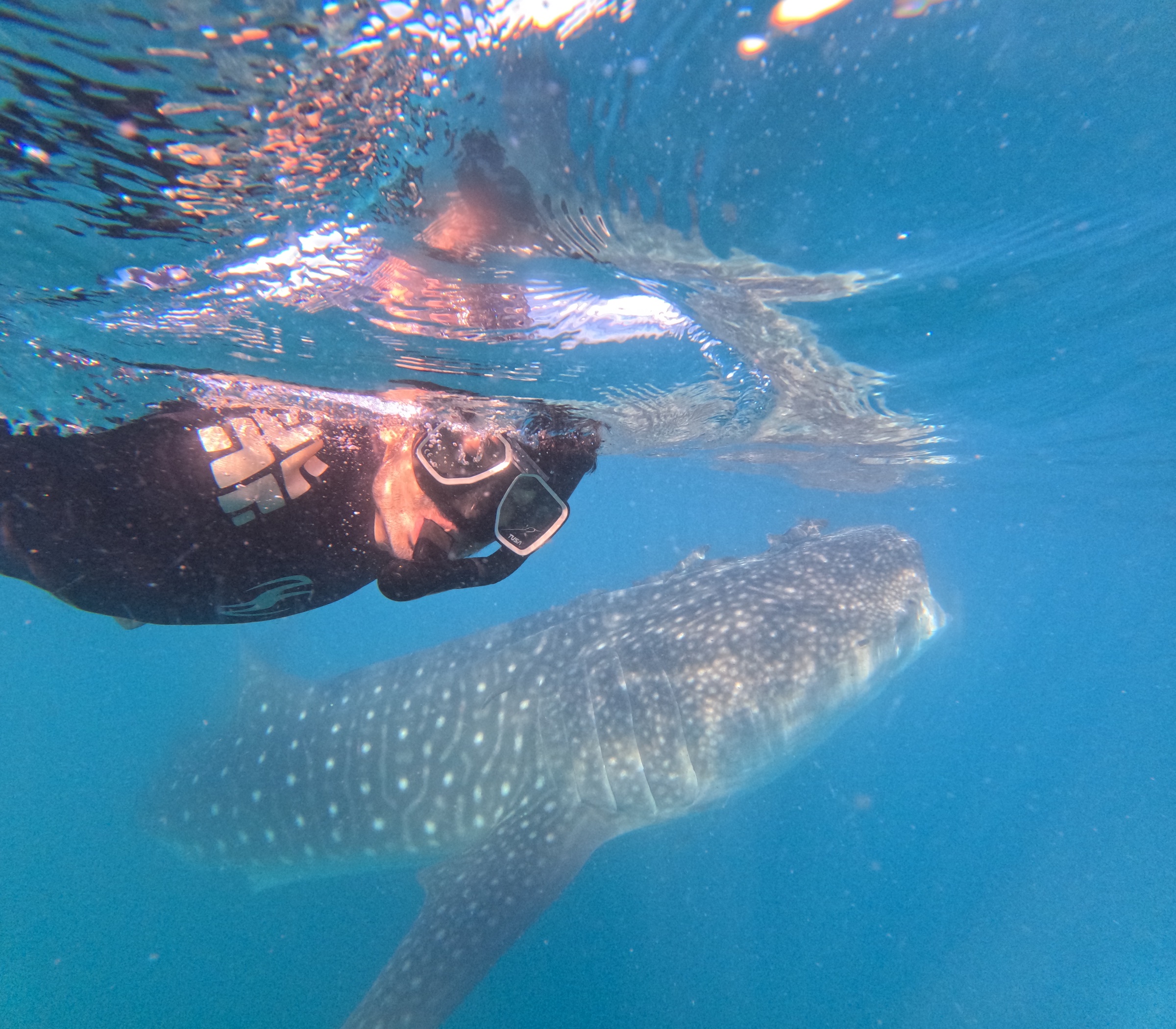 La Paz VIP tours