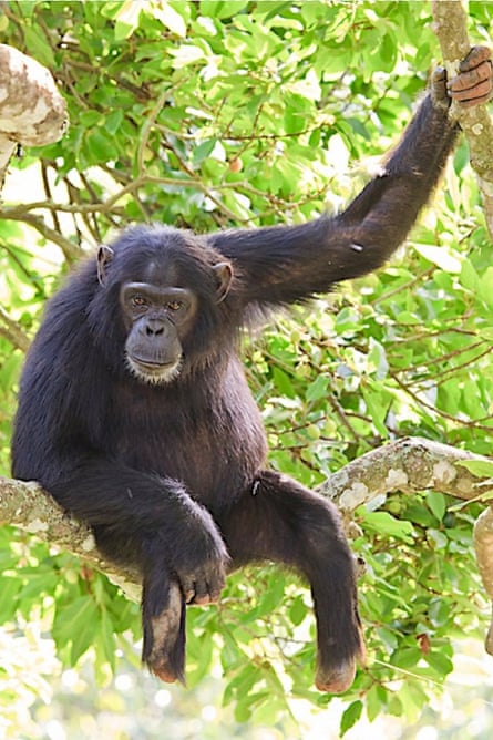 Oasis Safaris Limited