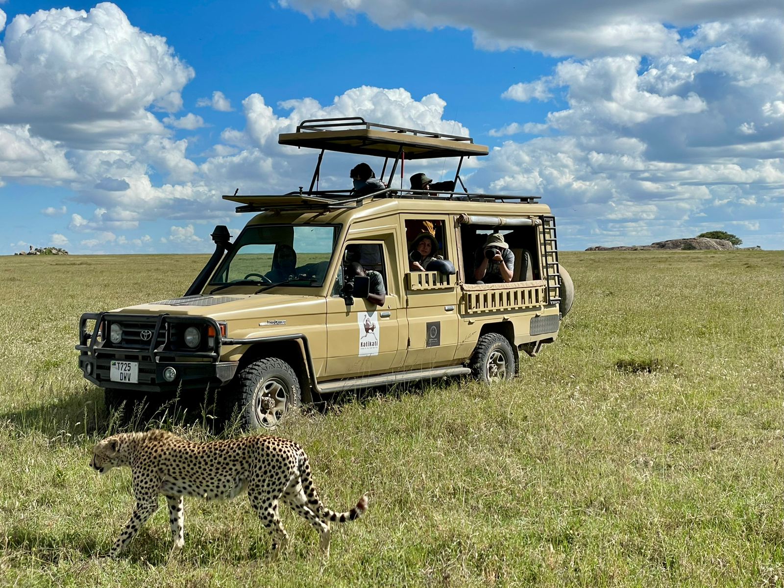 Katikati Tours and Safaris