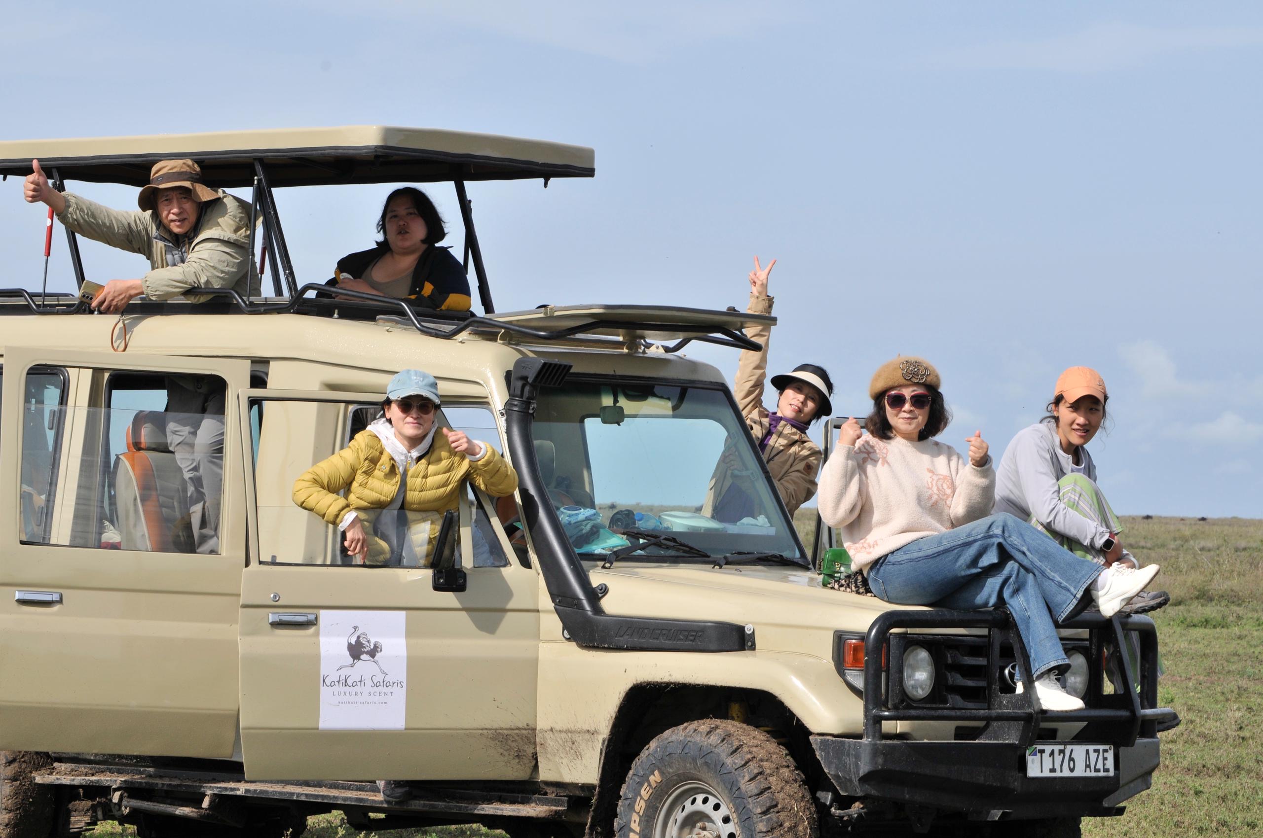 Katikati Tours and Safaris