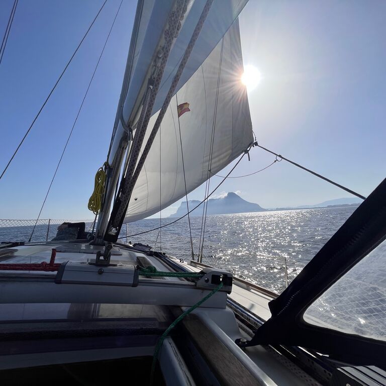 Sailingtealie