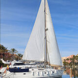 Sailingtealie