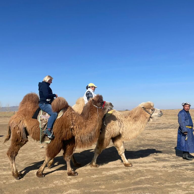 Hero nomads