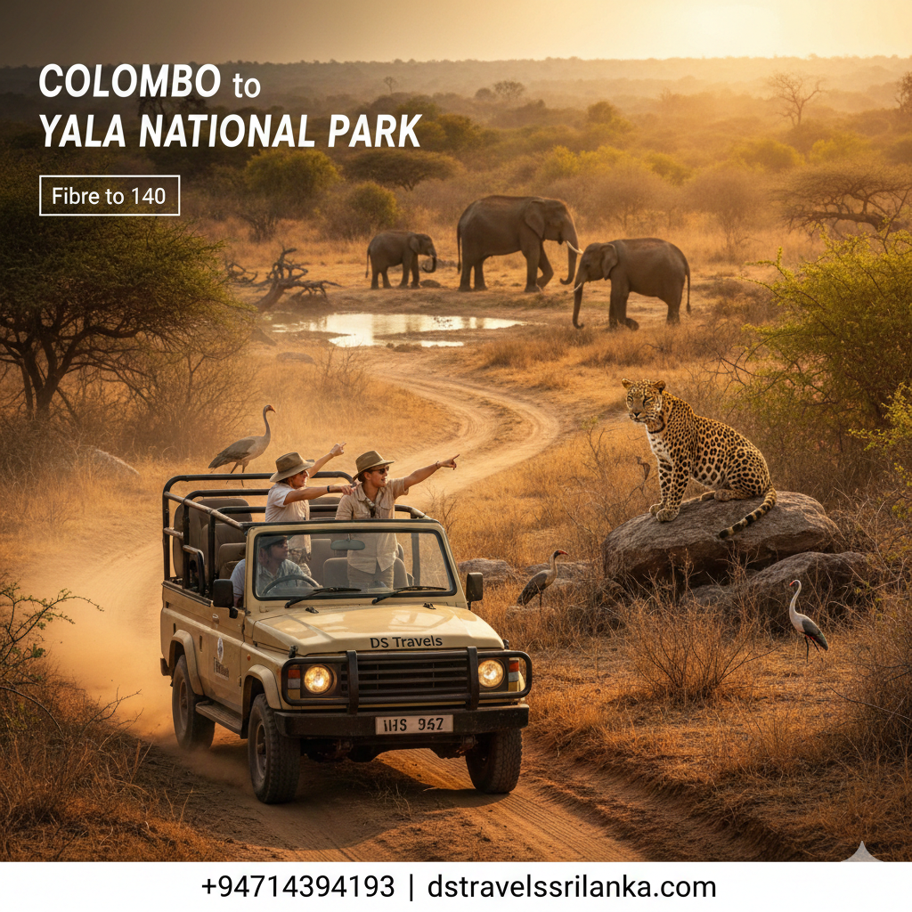 DsTravelsrilanka