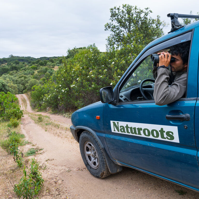 Naturoots
