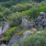 Naturoots