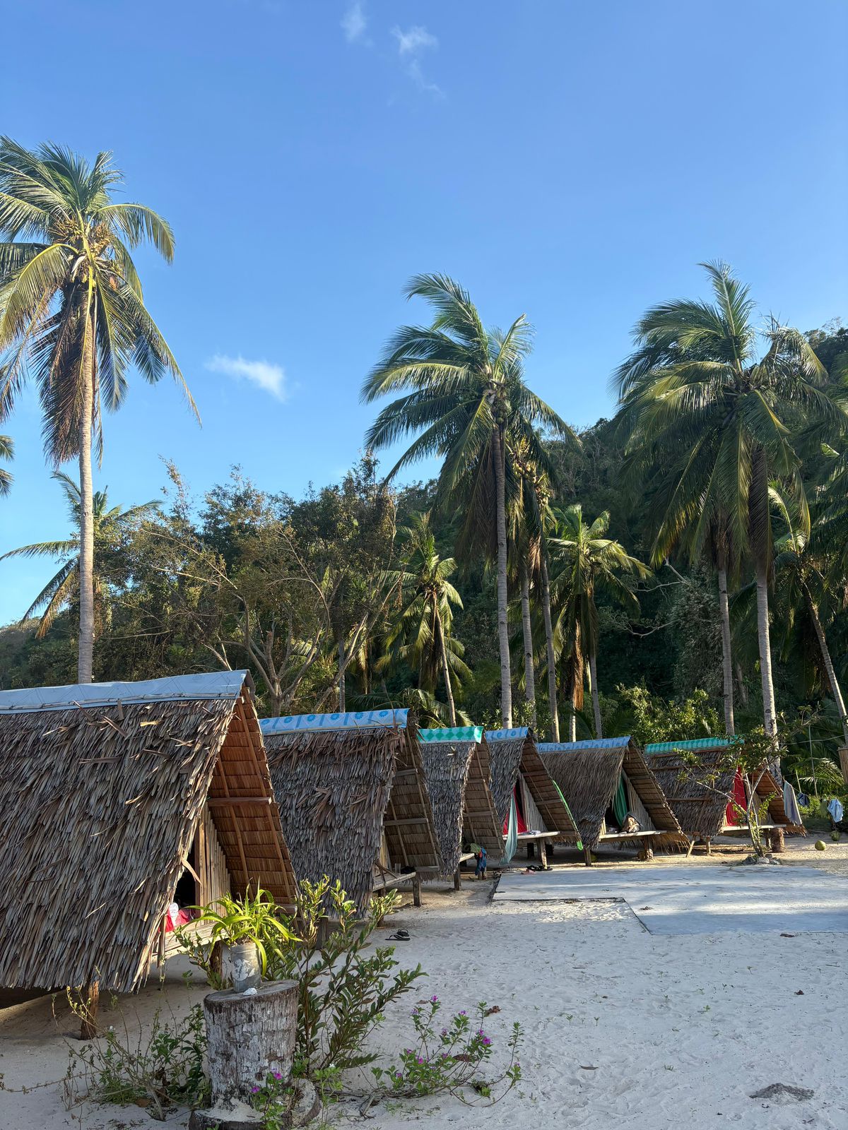 Sea Nomads Expeditions