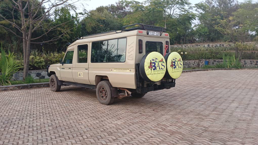 Bee Adventure Safari