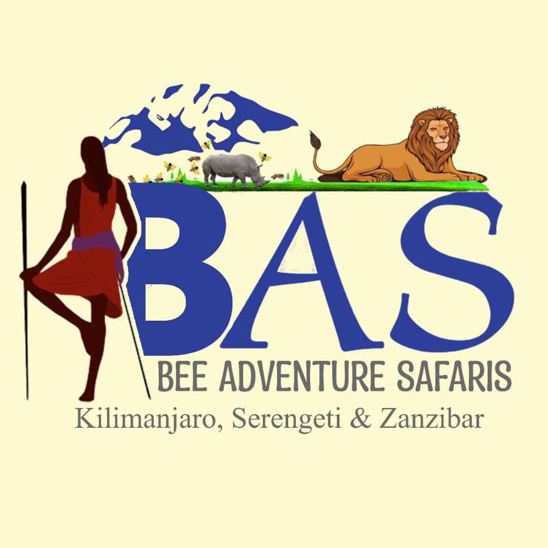 Bee Adventure Safari