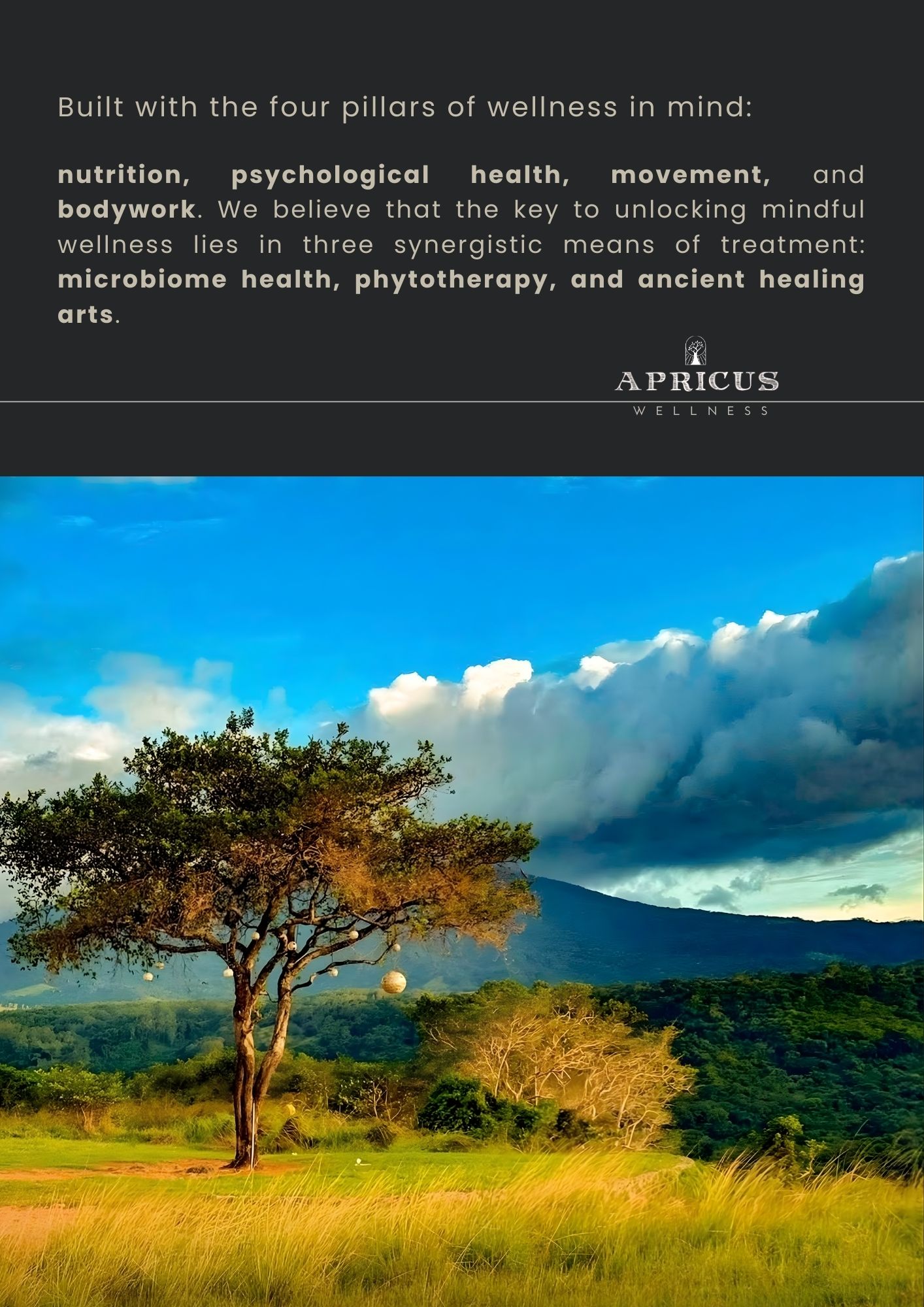 Apricus Wellness-Bagac, Bataan