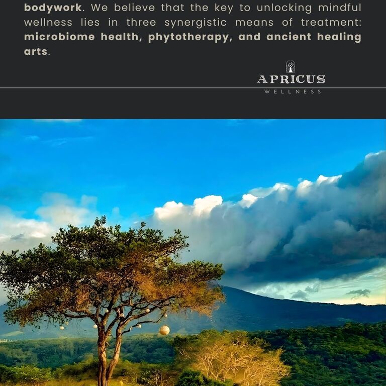 Apricus Wellness-Bagac, Bataan