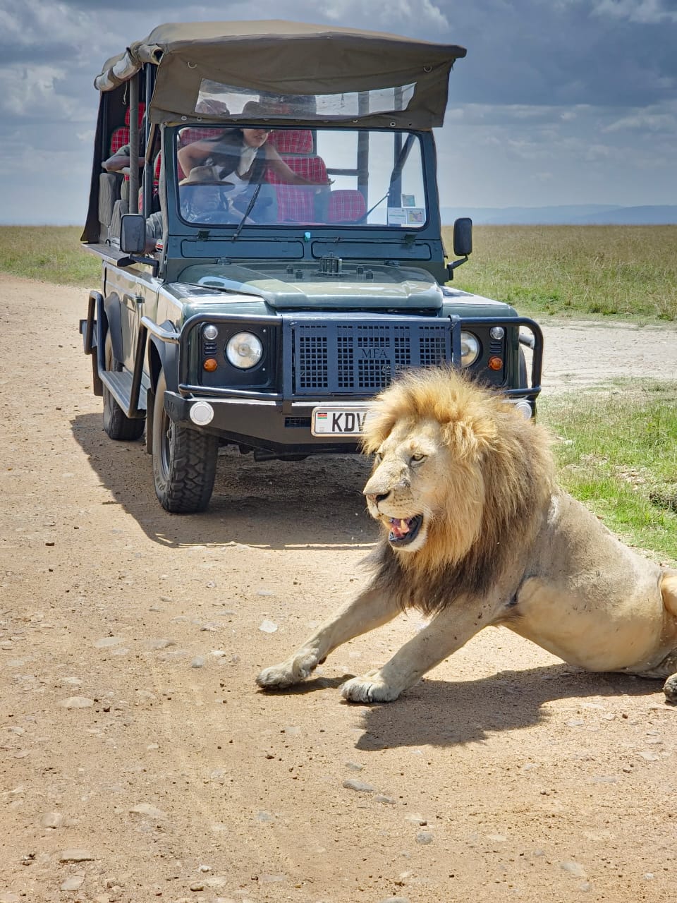 Dream World Destinations