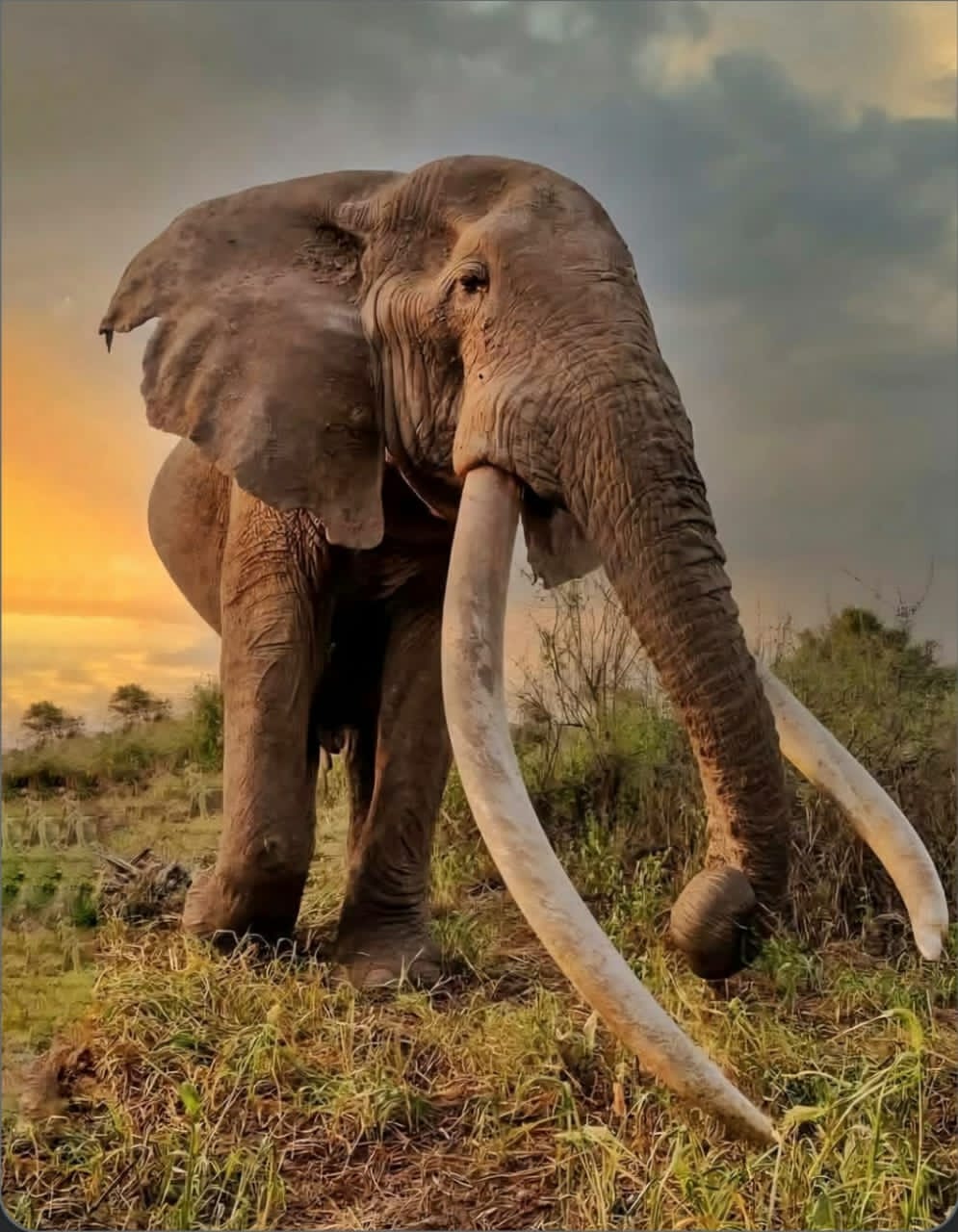 Dream World Destinations